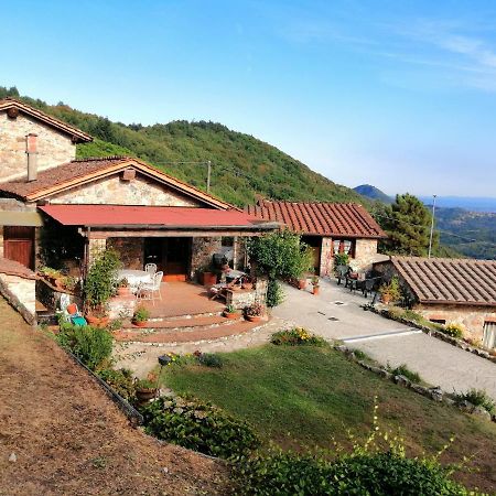 Villa Armonia Borgo a Mozzano Exterior foto